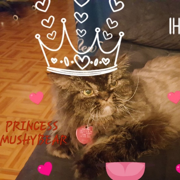 Meet your Posher, LisaMarie - Picture 5 of 8